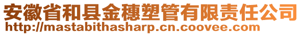 安徽省和縣金穗塑管有限責任公司