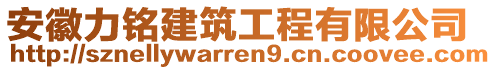 安徽力銘建筑工程有限公司