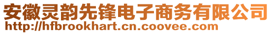 安徽靈韻先鋒電子商務(wù)有限公司