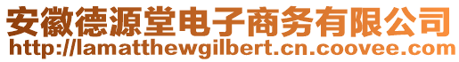 安徽德源堂電子商務(wù)有限公司