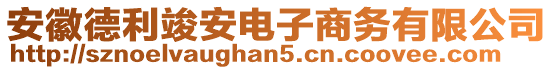 安徽德利竣安電子商務(wù)有限公司