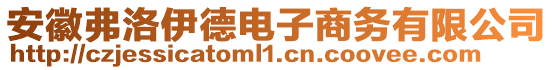 安徽弗洛伊德電子商務(wù)有限公司