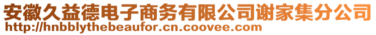 安徽久益德電子商務(wù)有限公司謝家集分公司