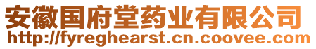 安徽國(guó)府堂藥業(yè)有限公司