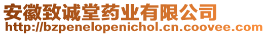 安徽致誠堂藥業(yè)有限公司