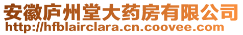 安徽廬州堂大藥房有限公司