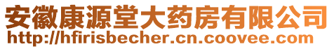 安徽康源堂大藥房有限公司