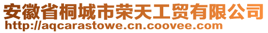 安徽省桐城市荣天工贸有限公司