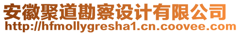 安徽聚道勘察設(shè)計(jì)有限公司