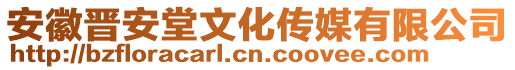 安徽晉安堂文化傳媒有限公司