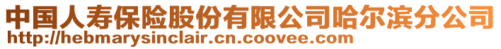 中國人壽保險股份有限公司哈爾濱分公司