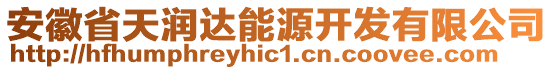 安徽省天潤(rùn)達(dá)能源開發(fā)有限公司