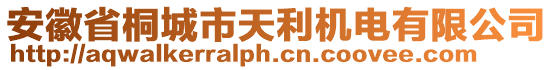 安徽省桐城市天利機(jī)電有限公司