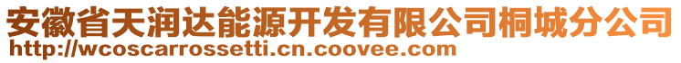 安徽省天潤(rùn)達(dá)能源開發(fā)有限公司桐城分公司