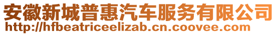 安徽新城普惠汽車服務(wù)有限公司