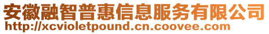 安徽融智普惠信息服務(wù)有限公司