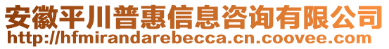 安徽平川普惠信息咨詢有限公司