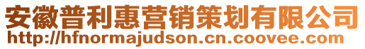 安徽普利惠營銷策劃有限公司