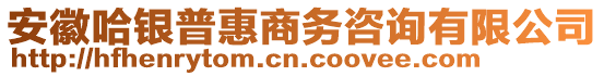 安徽哈銀普惠商務咨詢有限公司