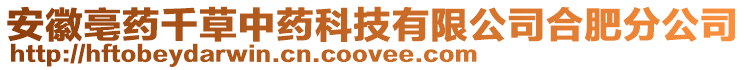 安徽亳藥千草中藥科技有限公司合肥分公司