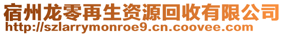 宿州龍零再生資源回收有限公司