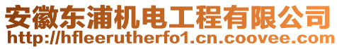 安徽東浦機電工程有限公司