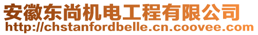 安徽東尚機(jī)電工程有限公司