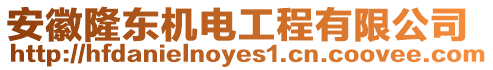 安徽隆東機(jī)電工程有限公司
