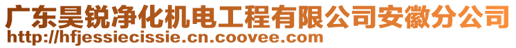 廣東昊銳凈化機電工程有限公司安徽分公司