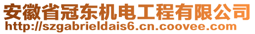 安徽省冠東機電工程有限公司