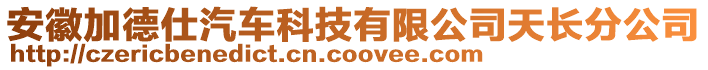 安徽加德仕汽車科技有限公司天長分公司