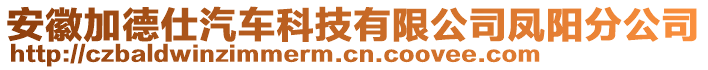 安徽加德仕汽車(chē)科技有限公司鳳陽(yáng)分公司