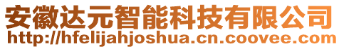 安徽達元智能科技有限公司