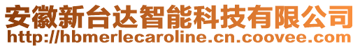 安徽新臺(tái)達(dá)智能科技有限公司