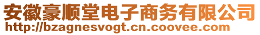 安徽豪順堂電子商務(wù)有限公司