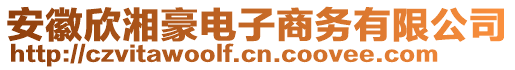 安徽欣湘豪電子商務(wù)有限公司