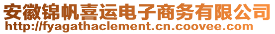 安徽錦帆喜運電子商務(wù)有限公司