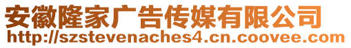 安徽隆家廣告傳媒有限公司