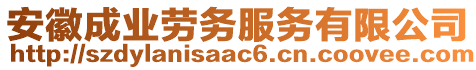 安徽成業(yè)勞務(wù)服務(wù)有限公司