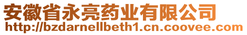 安徽省永亮藥業(yè)有限公司