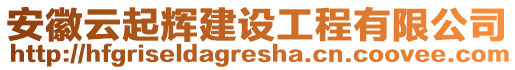 安徽云起輝建設(shè)工程有限公司