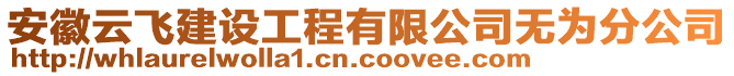 安徽云飛建設工程有限公司無為分公司