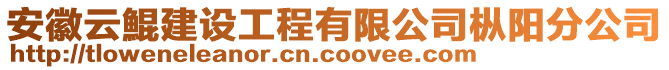 安徽云鯤建設(shè)工程有限公司樅陽(yáng)分公司