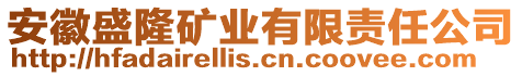 安徽盛隆礦業(yè)有限責(zé)任公司