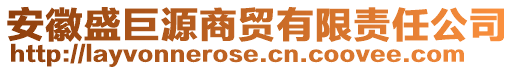 安徽盛巨源商貿(mào)有限責任公司