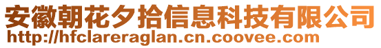 安徽朝花夕拾信息科技有限公司