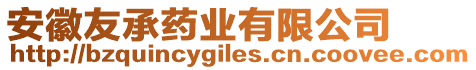 安徽友承藥業(yè)有限公司