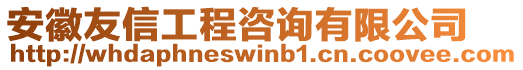 安徽友信工程咨詢有限公司