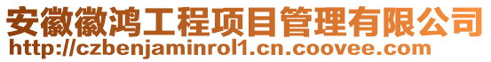 安徽徽鴻工程項(xiàng)目管理有限公司