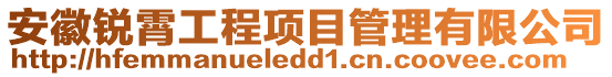 安徽銳霄工程項目管理有限公司
